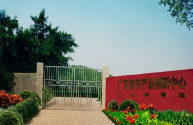 中国尊龙集团研发基地